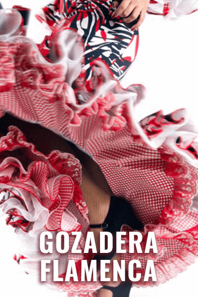 STEPS ON ZOOM Poster Gozadera Flamenca